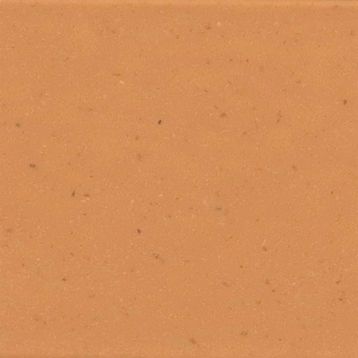 Thumbnail 23