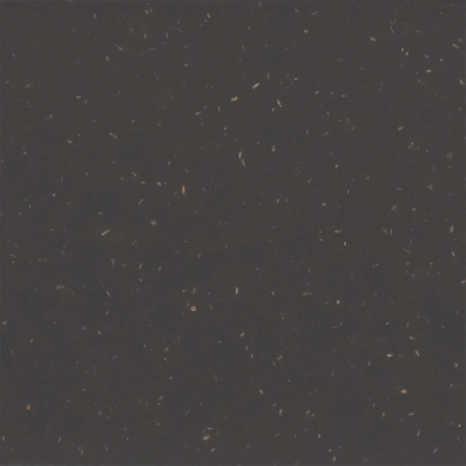 Thumbnail 19