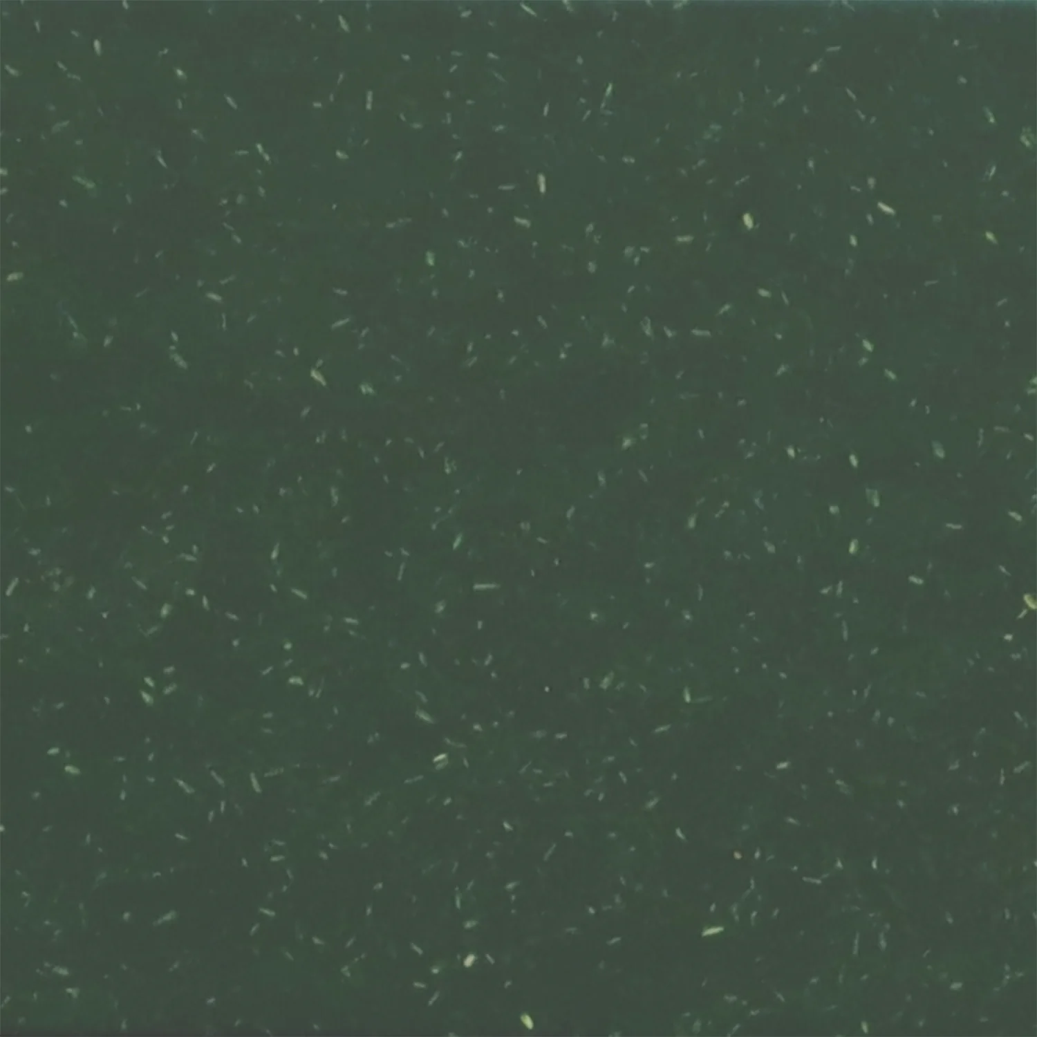 Thumbnail 53