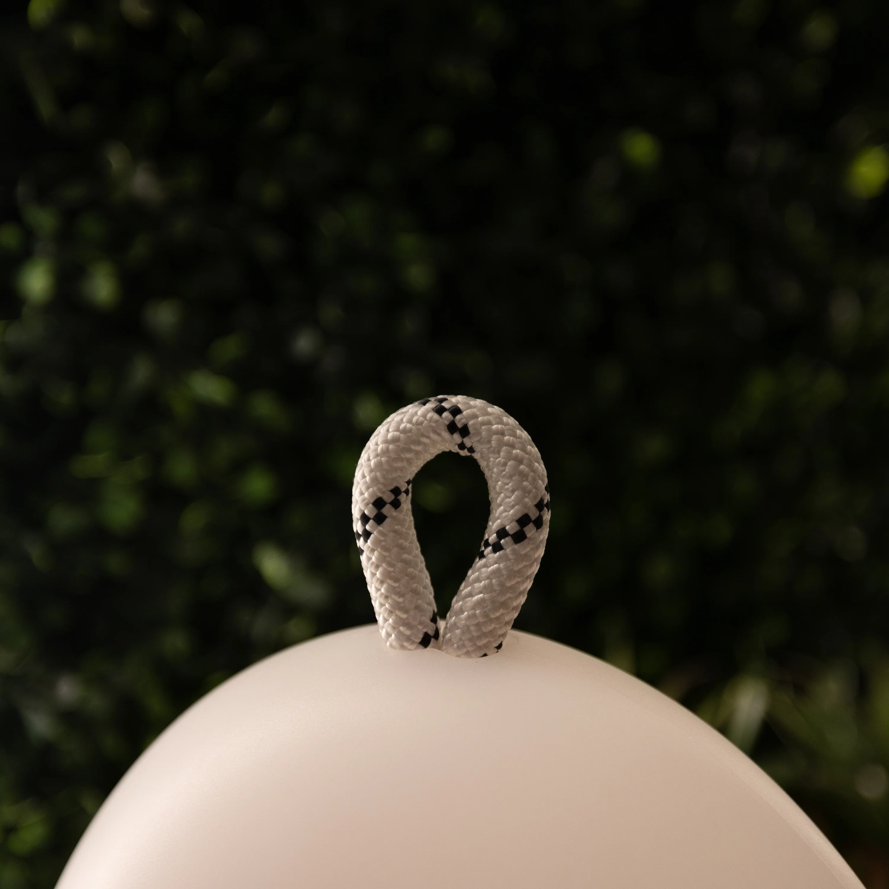 Thumbnail 22