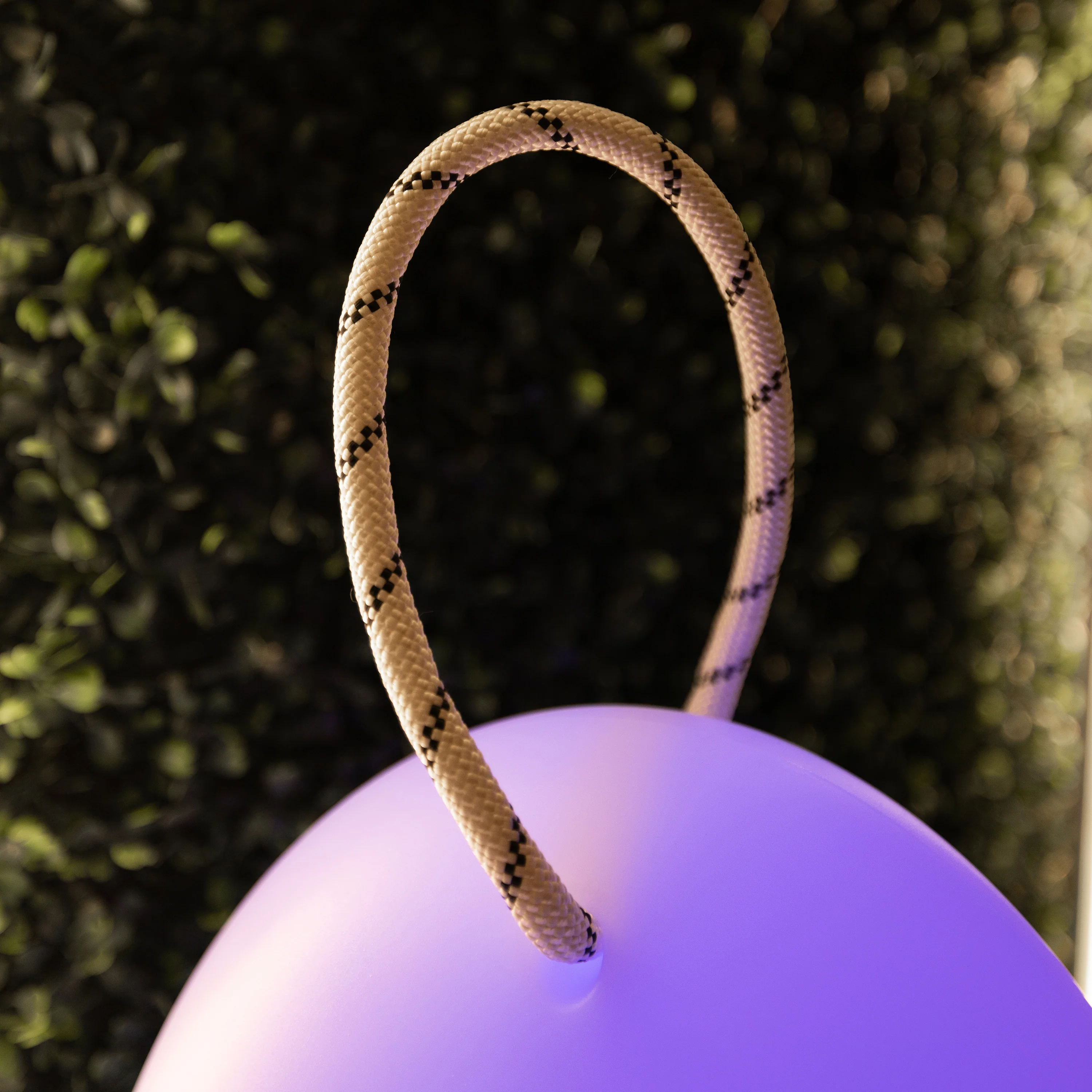 Thumbnail 23