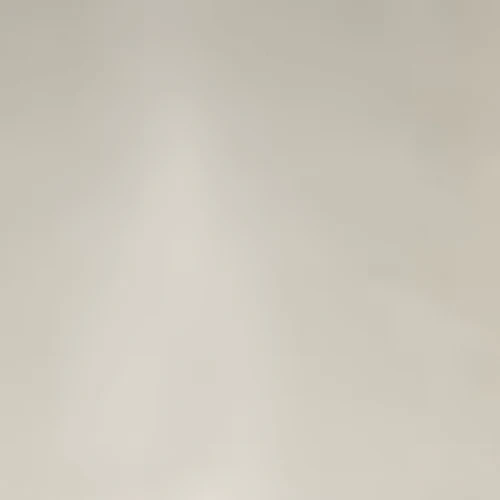 Thumbnail 29