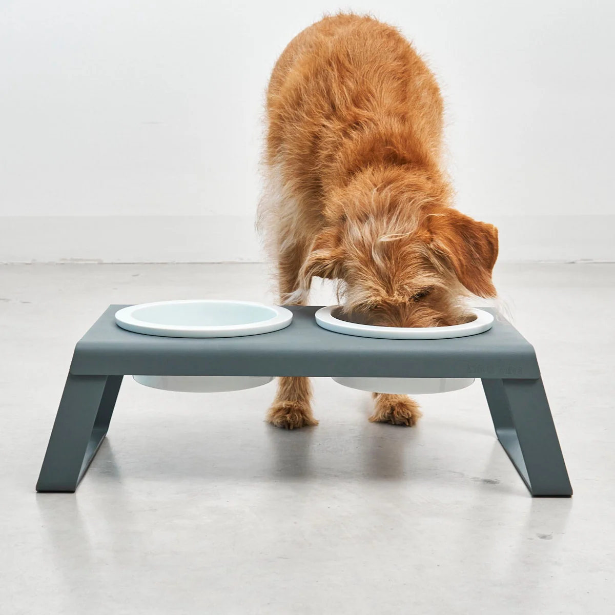 Thumbnail 26