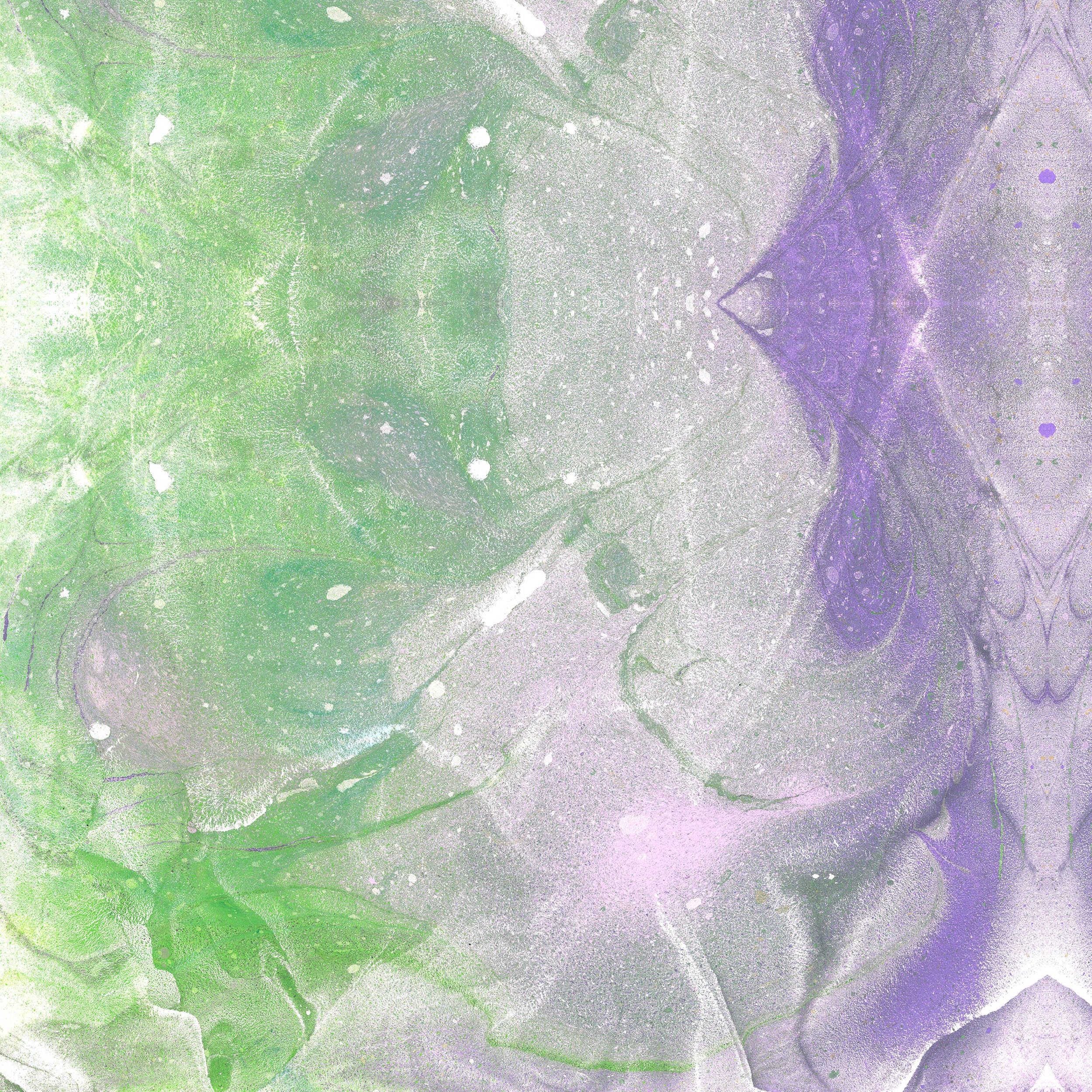 Thumbnail 19