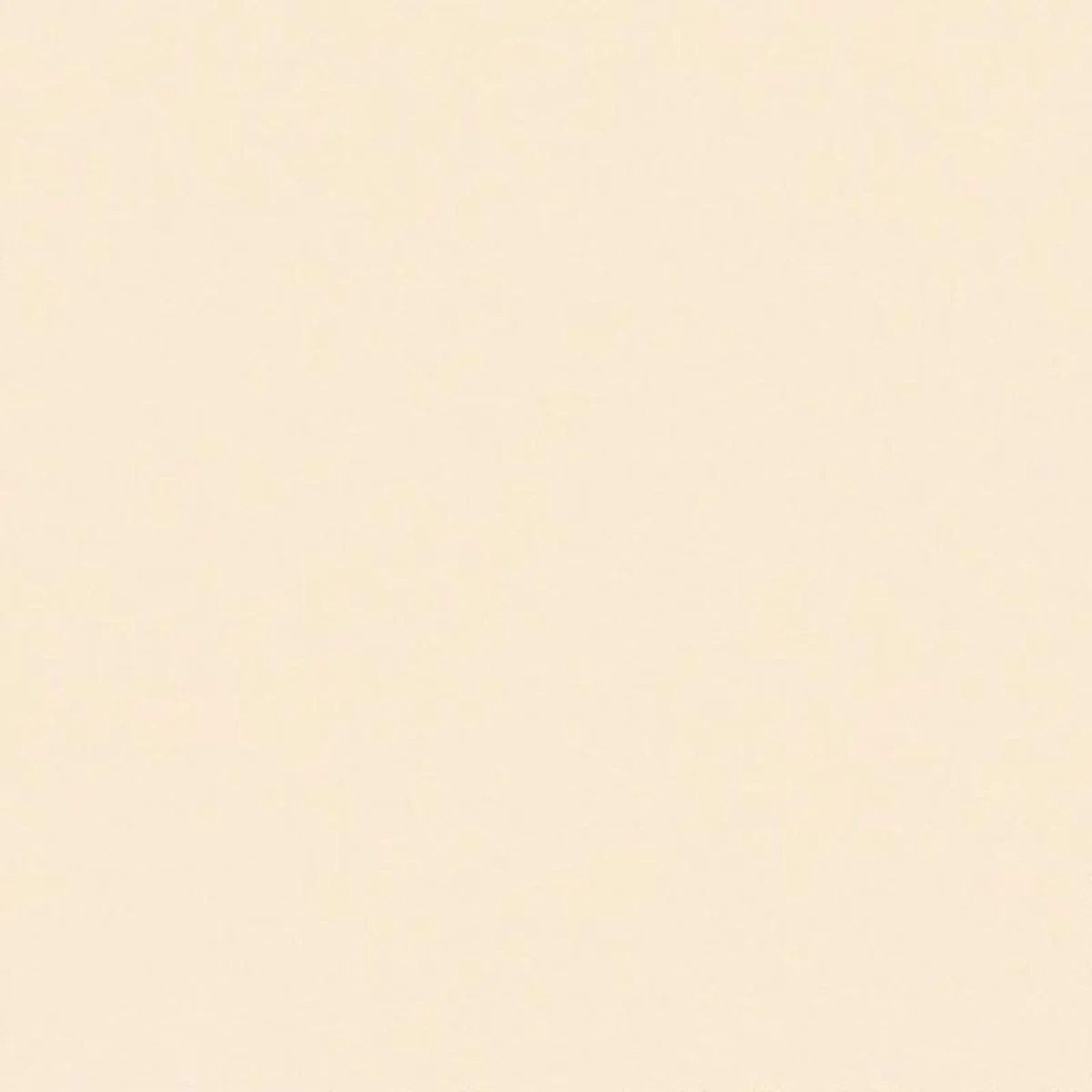 Thumbnail 21