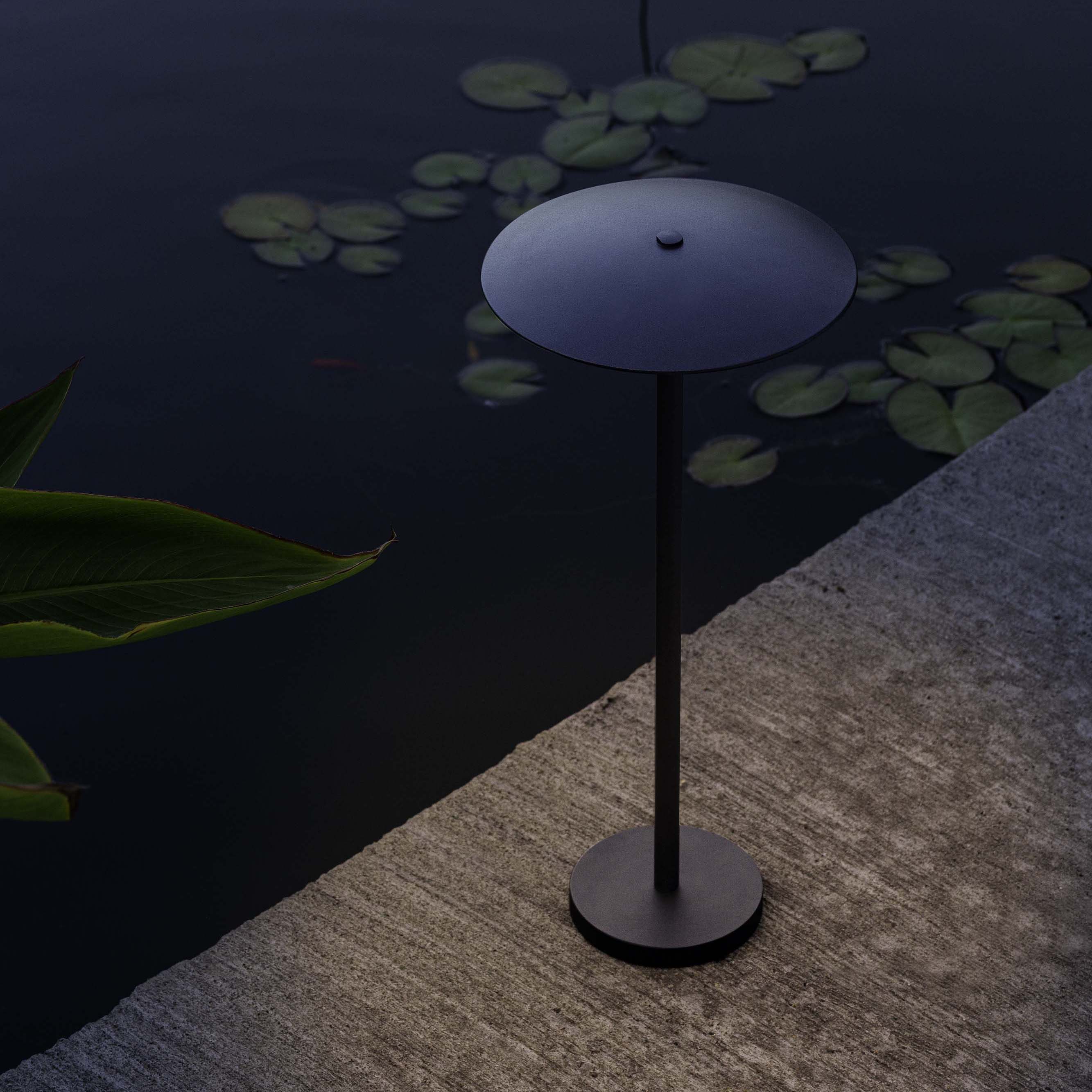 Thumbnail 14