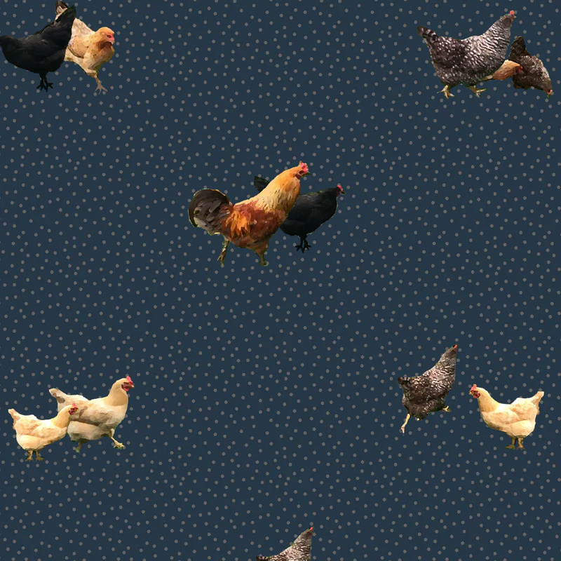 Thumbnail 11