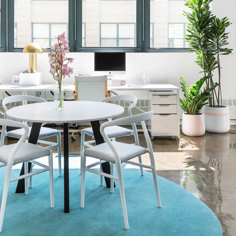 Thumbnail 17