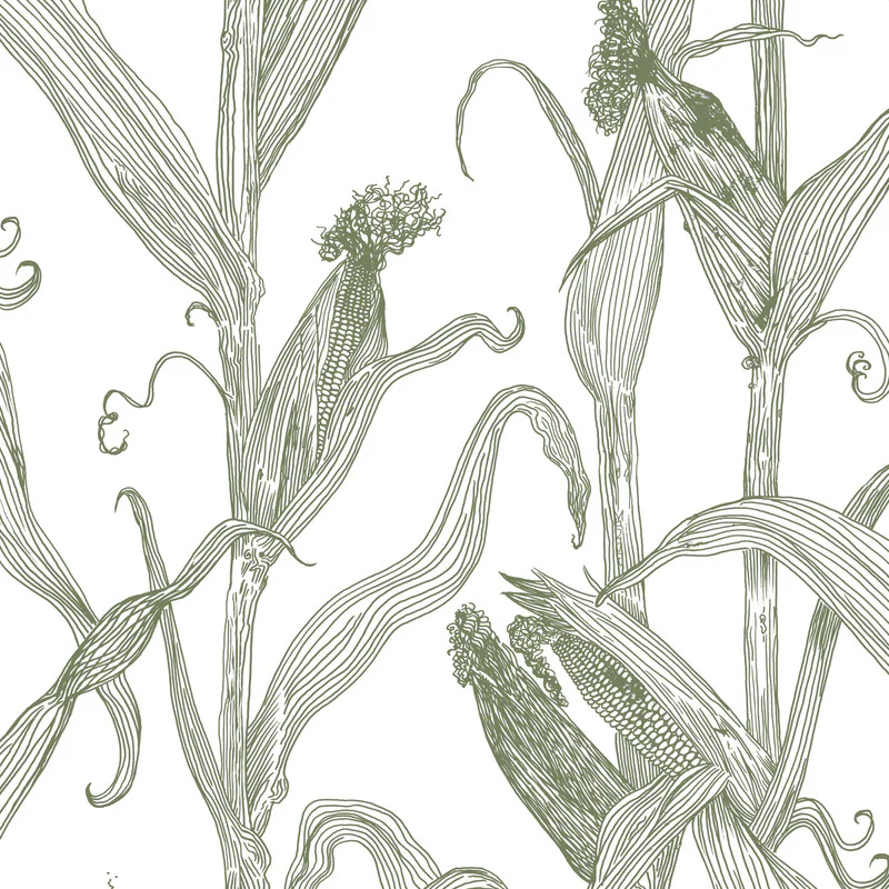 Thumbnail 14