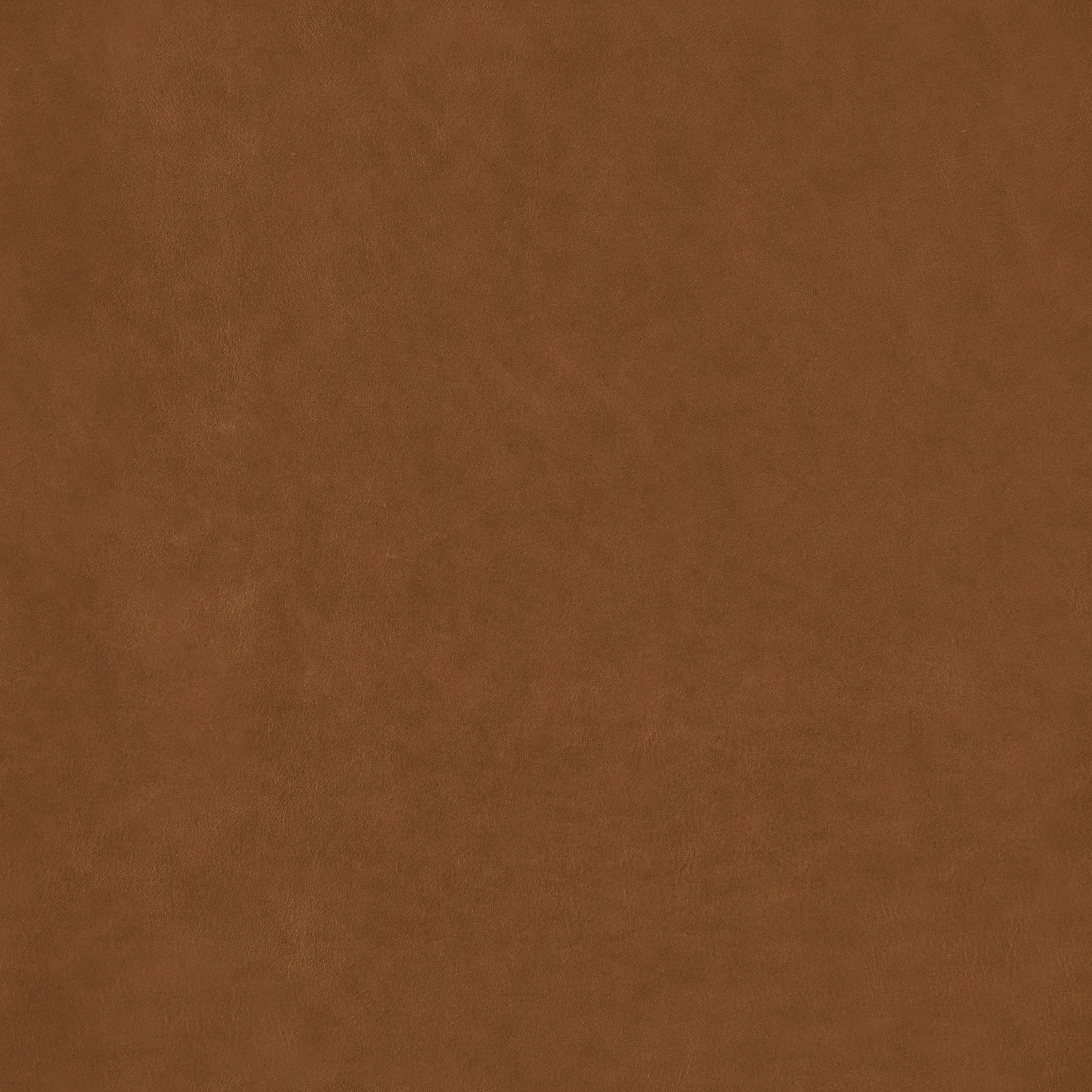 Thumbnail 18