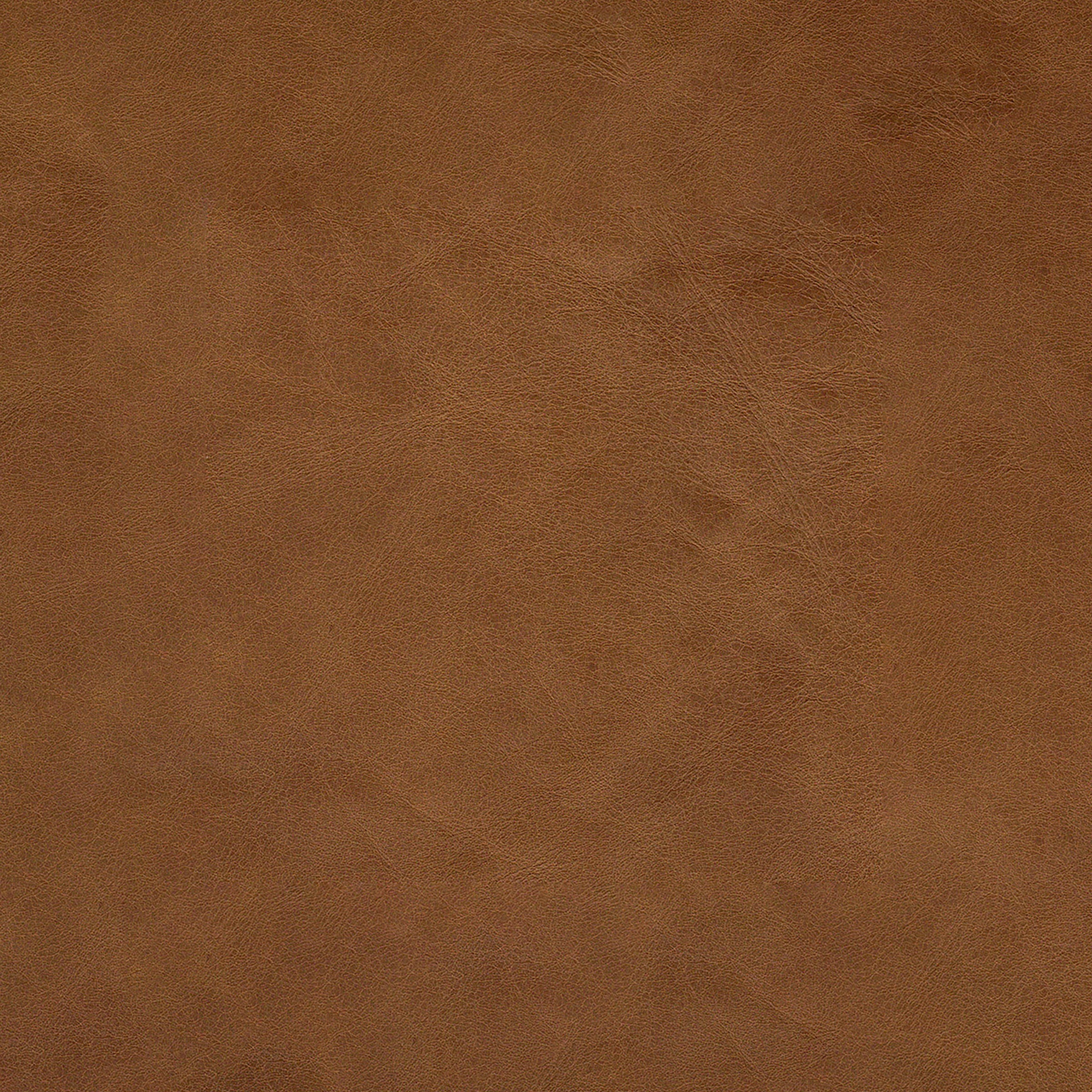 Thumbnail 29