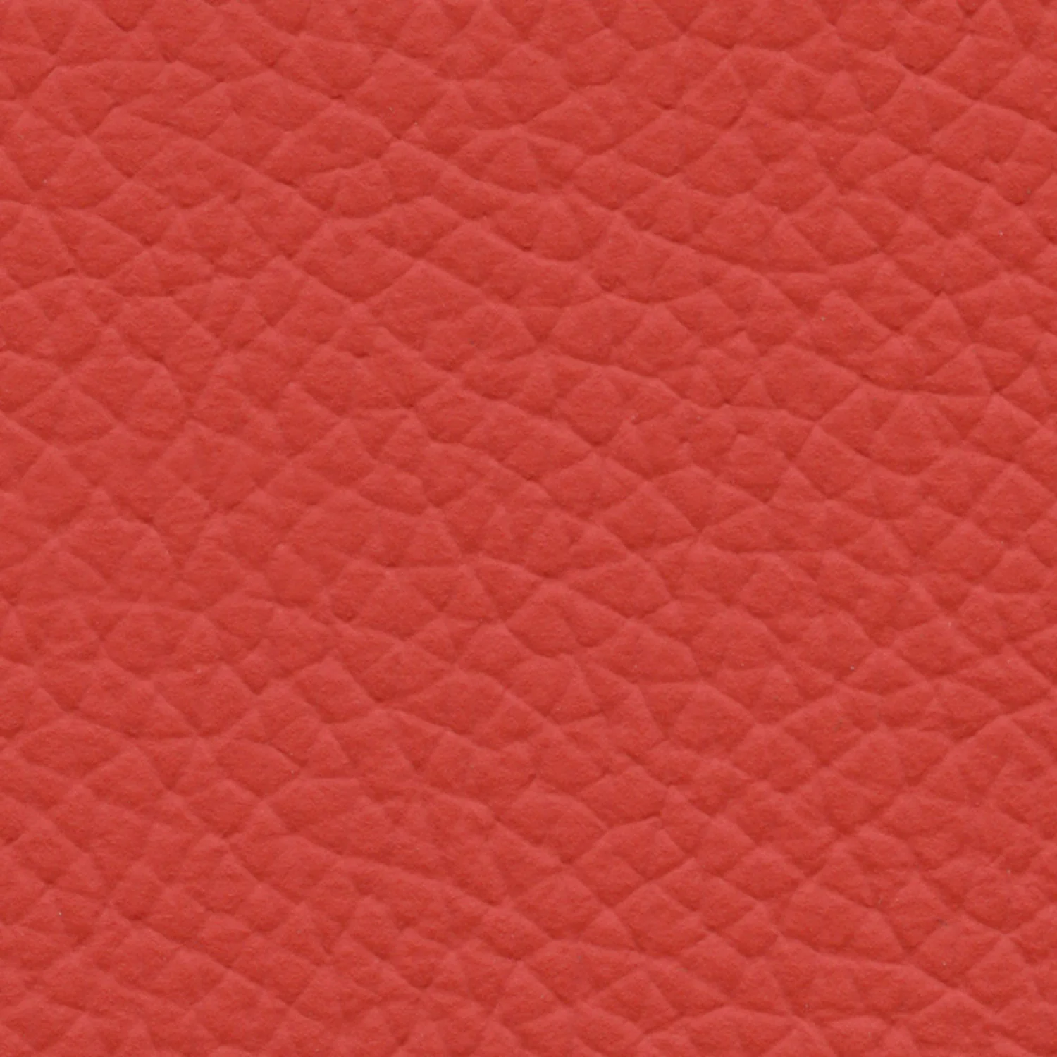 Thumbnail 28