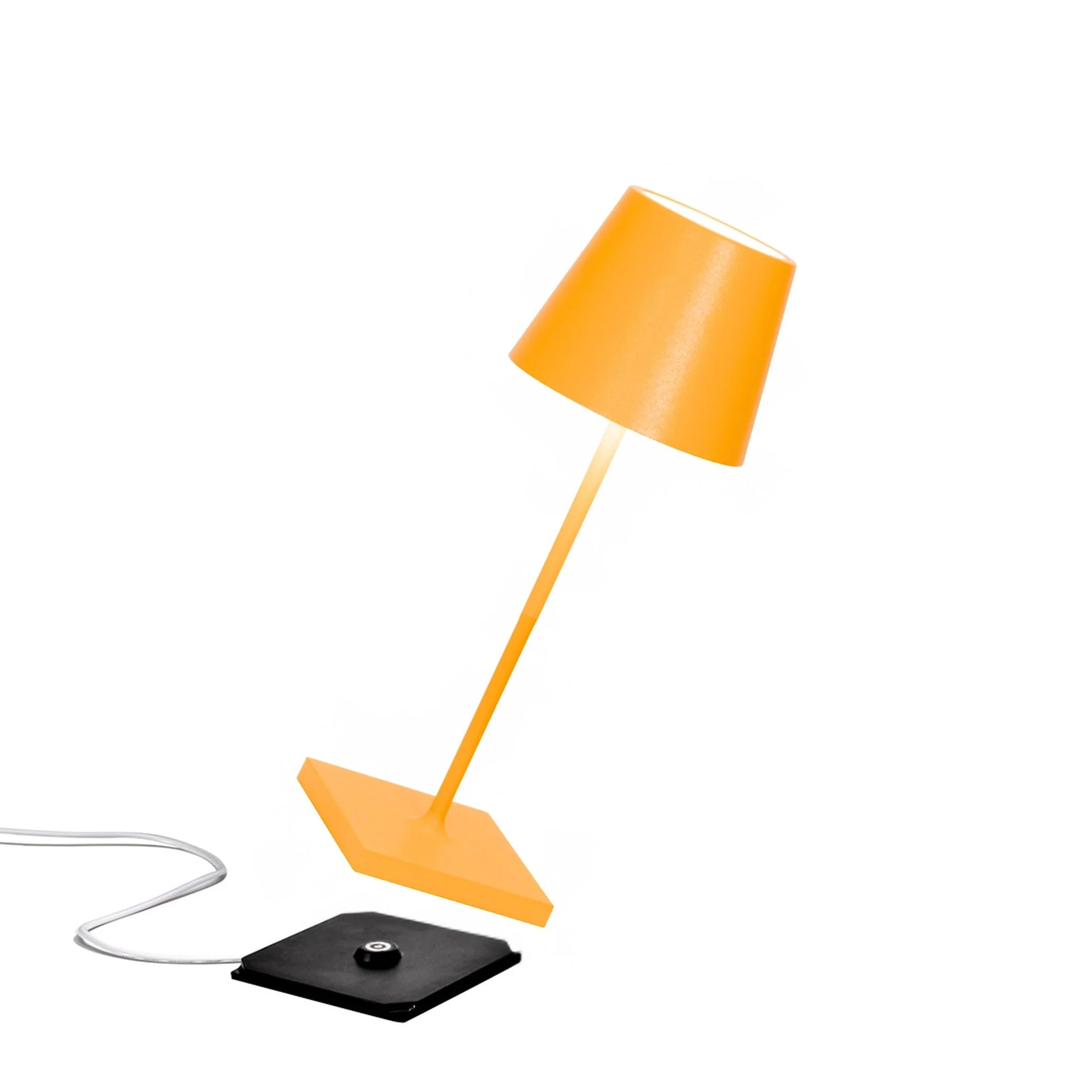 Thumbnail 12