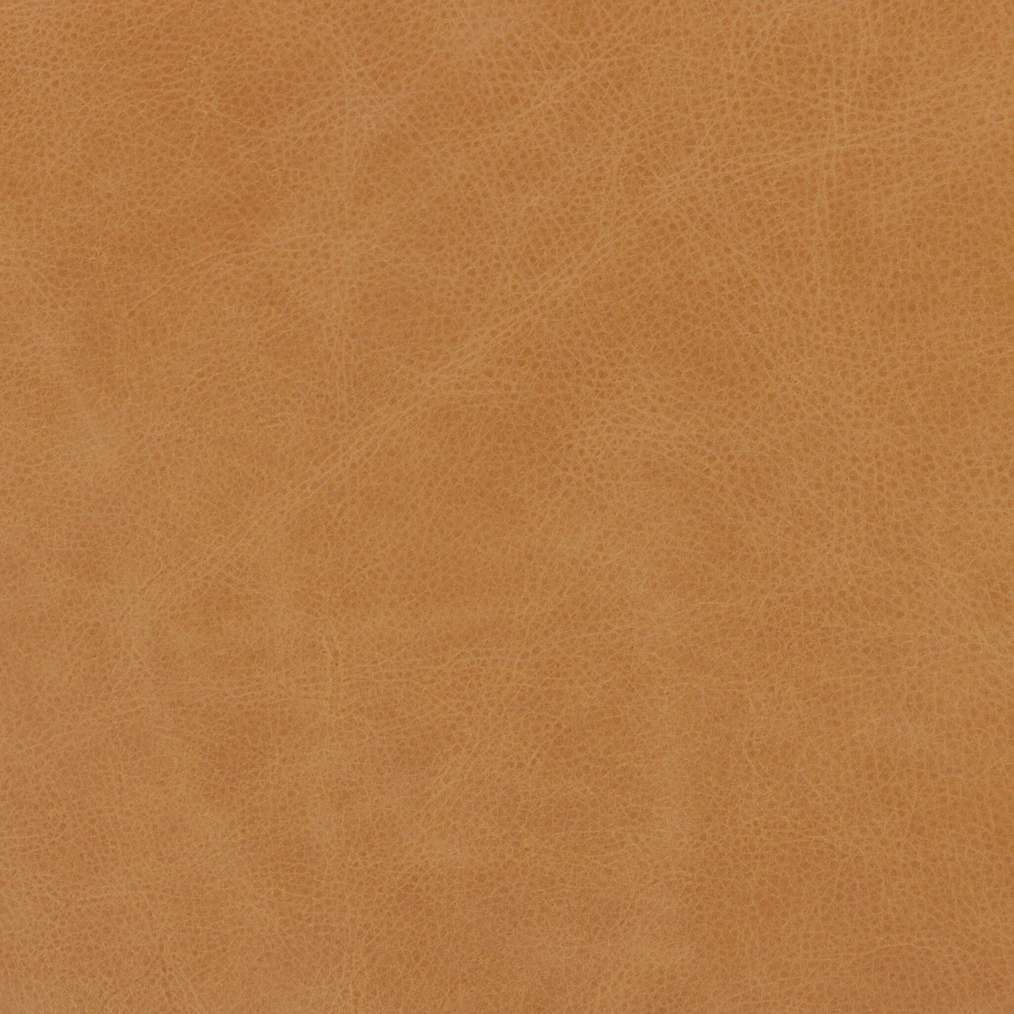 Thumbnail 35